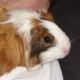 Valérie Dürig